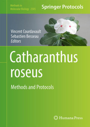 Honighäuschen (Bonn) - This volume provides updated technical approaches that have been developed to characterize monoterpene indole alkaloid metabolism in C. roseus from metabolite/gene product localization, alkaloid chemical synthesis, candidate gene prediction, transcription factor characterization up to functional genomic tools based on gene overexpression. Written in the format of the highly successful Methods in Molecular Biology series, each chapter includes an introduction to the topic, lists necessary materials and reagents, includes tips on troubleshooting and known pitfalls, and step-by-step, readily reproducible protocols. Authoritative and cutting-edge, Catharanthus roseus: Methods and Protocols aims to be a guidebook to all researchers working at characterizing alkaloid biosynthesis and more broadly specialized metabolisms