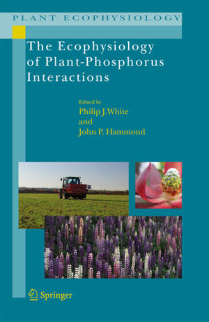 Honighäuschen (Bonn) - Phosphorus (P) is an essential macronutrient for plant growth. It is as phosphate that plants take up P from the soil solution. Since little phosphate is available to plants in most soils, plants have evolved a range of mechanisms to acquire and use P efficiently  including the development of symbiotic relationships that help them access sources of phosphorus beyond the plants own range. At the same time, in agricultural systems, applications of inorganic phosphate fertilizers aimed at overcoming phosphate limitation are unsustainable and can cause pollution. This latest volume in Springers Plant Ecophysiology series takes an in-depth look at these diverse plant-phosphorus interactions in natural and agricultural environments, presenting a series of critical reviews on the current status of research. In particular, the book presents a wealth of information on the genetic and phenotypic variation in natural plant ecosystems adapted to low P availability, which could be of particular relevance to developing new crop varieties with enhanced abilities to grow under P-limiting conditions. The book provides a valuable reference material for graduates and research scientists working in the field of plant-phosphorus interactions, as well as for those working in plant breeding and sustainable agricultural development.