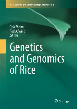 Honighäuschen (Bonn) - This book provides a comprehensive coverage of the advances in genetics and genomics research on rice. The chapters feature the latest developments in rice research and cover such topics as the tools and resources for the functional analysis of rice genes, the identification of useful genes for rice improvement, the present understanding of rice development and biological processes, and the application of this present understanding towards rice improvement. The volume also features a perspective on synthesis and prospects, laying the groundwork for future advances in rice genetics and genomics. Written by authorities in the field, Genetics and Genomics of Rice will serve as an invaluable reference for rice researchers for years to come.