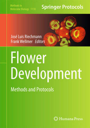 Honighäuschen (Bonn) - In Flower Development: Methods and Protocols, researchers in the field detail protocols for experimental approaches that are currently used to study the formation of flowers, from genetic methods and phenotypic analyses, to genome-wide experiments, modeling, and system-wide approaches. Written in the highly successful Methods in Molecular Biology series format, chapters include introductions to their respective topics, lists of the necessary materials and reagents, step-by-step, readily reproducible laboratory protocols, and key tips on troubleshooting and avoiding known pitfalls Authoritative and practical, Flower Development: Methods and Protocols is an essential guide for plant developmental biologists, from the novice to the experienced researcher, and for those considering venturing into the field.