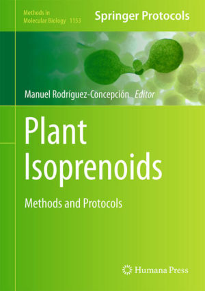 Honighäuschen (Bonn) - Plant Isoprenoids: Methods and Protocols is a collection of detailed techniques that will be a useful tool for a wide range of plant biologists, as well as for scientists of other fields interested in plant isoprenoids. Isoprenoids are an incredibly diverse family and they participate in a large variety of processes. Divided into four convenient sections to better cover strategic areas in plant isoprenoid research, topics include measurement of core enzyme activities involved in the production of isoprenoid precursors, targeted analysis of major groups of isoprenoid metabolites, isoprenoid profiling in specialized organs such as trichomes and oil glands as well as genetic, pharmacological and bioinformatic tools that are particularly useful for plant molecular biologists. Written in the successful Methods in Molecular Biology series format, chapters include introductions to their respective topics, lists of the necessary materials and reagents, step-by-step, readily reproducible protocols and notes on troubleshooting and avoiding known pitfalls. Authoritative and easily accessible, Plant Isoprenoids: Methods and Protocols will serve as an excellent reference material that can be adapted to develop customized methods for different needs making the world of plant isoprenoids more accessible for all researchers.