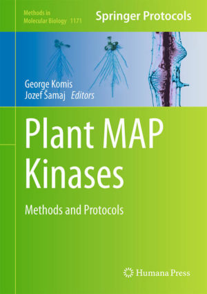 Honighäuschen (Bonn) - Mitogen-activated protein kinases (MAPKs) are versatile phosphorylating enzymes which regulate multiple proteins involved in gene expression, cell architecture, plant development and reaction to diverse abiotic and biotic factors. The main aim of Plant MAP Kinases: Methods and Protocols is to provide established and new MAPK protocols adapted to the challenges posed by working with plants. The book contains 19 chapters which encompass a wide array of methods progressively scaling from the single gene, protein or cell level to large-scale arrays of proteomic, phosphoproteomic and interactomic data in order to uncover previously unidentified plant MAPK signaling pathways and to tackle with the challenging task of substrate identification. Techniques for MAPK sequence analysis and subcellular localization helping to identify their substrates and subcellular compartmentalization are also provided. Written in the highly successful Methods in Molecular Biology series format, chapters include introductions to their respective topics, lists of the necessary materials and reagents, step-by-step, readily reproducible laboratory protocols and key tips on troubleshooting and avoiding known pitfalls. Authoritative and practical, Plant MAP Kinases: Methods and Protocols represents a collection of useful plant MAPK protocols written by experts in the field for researchers and students.