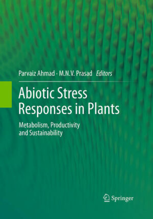 Honighäuschen (Bonn) - Abiotic stress cause changes in soil-plant-atmosphere continuum and is responsible for reduced yield in several major crops. Therefore, the subject of abiotic stress response in plants - metabolism, productivity and sustainability - is gaining considerable significance in the contemporary world. Abiotic stress is an integral part of climate change, a complex phenomenon with a wide range of unpredictable impacts on the environment. Prolonged exposure to these abiotic stresses results in altered metabolism and damage to biomolecules. Plants evolve defense mechanisms to tolerate these stresses by upregulation of osmolytes, osmoprotectants, and enzymatic and non-enzymatic antioxidants, etc. This volume deals with abiotic stress-induced morphological and anatomical changes, abberations in metabolism, strategies and approaches to increase salt tolerance, managing the drought stress, sustainable fruit production and postharvest stress treatments, role of glutathione reductase, flavonoids as antioxidants in plants, the role of salicylic acid and trehalose in plants, stress-induced flowering. The role of soil organic matter in mineral nutrition and fatty acid profile in response to heavy metal stress are also dealt with. Proteomic markers for oxidative stress as a new tools for reactive oxygen species and photosynthesis research, abscisic acid signaling in plants are covered with chosen examples. Stress responsive genes and gene products including expressed proteins that are implicated in conferring tolerance to the plant are presented. Thus, this volume would provides the reader with a wide spectrum of information including key references and with a large number of illustrations and tables. Dr. Parvaiz is Assistant Professor in Botany at A.S. College, Srinagar, Jammu and Kashmir, India. He has completed his post-graduation in Botany in 2000 from Jamia Hamdard New Delhi India. After his Ph.D from the Indian Institute of Technology (IIT) Delhi, India in 2007 he joined the International Centre for Genetic Engineering and Biotechnology, New Delhi. He has published more than 20 research papers in peer reviewed journals and 4 book chapters. He has also edited a volume which is in press with Studium Press Pvt. India Ltd., New Delhi, India. Dr. Parvaiz is actively engaged in studying the molecular and physio-biochemical responses of different plants (mulberry, pea, Indian mustard) under environmental stress. Prof. M.N.V. Prasad is a Professor in the Department of Plant Sciences at the University of Hyderabad, India. He received B.Sc. (1973) and M.Sc. (1975) degrees from Andhra University, India, and the Ph.D. degree (1979) in botany from the University of Lucknow, India. Prasad has published 216 articles in peer reviewed journals and 82 book chapters and conference proceedings in the broad area of environmental botany and heavy metal stress in plants. He is the author, co-author, editor, or co-editor for eight books. He is the recipient of Pitamber Pant National Environment Fellowship of 2007 awarded by the Ministry of Environment and Forests, Government of India.