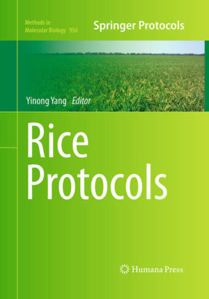 Honighäuschen (Bonn) - With the completion of a finished rice genome sequence, increasing efforts have focused on functional characterization of rice genes, elucidation of the underlying mechanisms involved in major agronomic traits (e.g., high yield, grain quality, abiotic stress tolerance, and disease resistance), and the subsequent translation of genomic knowledge into agricultural productivity via molecular breeding and improved cultural practice. To meet increasing interest in this field, Rice Protocols has been compiled to provide a series of core techniques and approaches commonly used in studying rice molecular biology and functional genomics. These approaches include genetic and molecular techniques such as artificial hybridization, fluorescence in situ hybridization, generation and characterization of chemical and T-DNA insertional mutants, quantitative trait loci (QTLs) analysis and map-based cloning, site-specific transgene integration, and artificial microRNA-mediated gene silencing, along with a variety of omics techniques. Written in the highly successful Methods in Molecular Biology series format, chapters include introductions to their respective topics, lists of the necessary materials and reagents, step-by-step, readily reproducible laboratory protocols, and tips on troubleshooting and avoiding known pitfalls.Authoritative and easy to use, Rice Protocols will prove useful for both beginners and experienced researchers whether they are molecular biologists who want to study rice plants or rice researchers who are interested in learning molecular techniques.