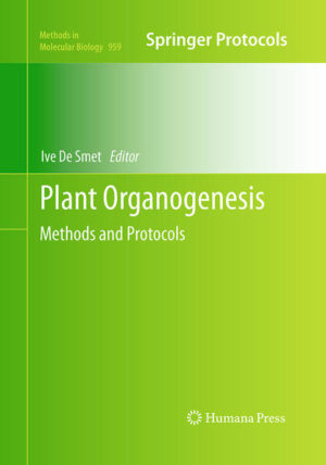 Honighäuschen (Bonn) - Organogenesis entails the regulation of cell division, cell expansion, cell and tissue type differentiation, and patterning of the organ as a whole. It is essential to gain insight into how organs are initiated and how they develop. However, this very often is subject to technical difficulties as these processes take place embedded deep in tissues or are difficult to access or visualize. To achieve this, we need specialized techniques such as those concisely illustrated in Plant Organogenesis: Methods and Protocols. Chapters address topics such as how to study and image the structure of ovules and embryos of Arabidopsis thaliana, tools to establish cell lineages in order to visualize the contribution of each cell and cell division to the building of a mature organ, approaches to study the totipotency of several plant cells, techniques such as the use of fluorescence-activated cell sorting (FACS) to analyse transcriptomes and hormone levels in Arabidopsis, methods to investigate organogenesis in economically important crops, and computer-based approaches to bring everything together. Written in the successful Methods in Molecular Biology series format, chapters include introductions to their respective topics, lists of the necessary materials and reagents, step-by-step, readily reproducible protocols, and notes on troubleshooting and avoiding known pitfalls. Authoritative and easily accessible, Plant Organogenesis: Methods and Protocols serves both professionals and novices with its well-honed methodologies in an effort to further our knowledge of this fascinating research field.