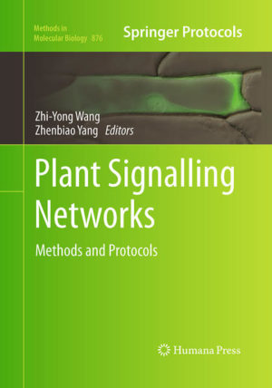 Honighäuschen (Bonn) - Signal transduction is the fundamental mechanism for regulation of cellular activities by environmental cues and regulatory signals, and is particularly important for plants, whose survival requires proper physiological and developmental responses to the environmental changes. Much progress has been made recently in the plant signal transduction research field thanks to the development of diverse techniques which are covered in Plant Signalling Networks: Methods and Protocols. These include advanced research methods such as proteomics and mass spectrometry methods for studying protein modification, biochemical and cell biological tools for studying protein-protein interactions, genomic techniques for dissecting protein-DNA interaction and transcription networks, and computation methods that integrate molecular network into plant developmental processes. Written in the successful Methods in Molecular Biology series format, chapters include introductions to their respective topics, lists of the necessary materials and reagents, step-by-step, readily reproducible protocols, and notes on troubleshooting and avoiding known pitfalls.Plant Signalling Networks: Methods and Protocols presents well-honed methodologies for a wide range of research approaches including genetics, proteomics, biochemical, cell biological, and computational approaches, and seeks to serve both professionals and novices with a comprehensive understanding of complex signaling networks in plants.