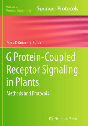 Honighäuschen (Bonn) - Remarkably, while G protein-coupled receptors (GPCRs) are highly prevalent in animals and yeast, very few candidate GPCRs have been identified in plants. In G Protein-Coupled Receptor Signaling in Plants: Methods and Protocols, experts in the field describe techniques used in the study of small GTPases and related proteins. Beginning with a chapter on bioinformatics approaches for GPCR discovery, this detailed volume continues with chapters on heterotrimeric G protein subunits, Rab-GTPases, as well as lipid modifications, including myristoylation, acylation, and prenylation. Written in the highly successful Methods in Molecular Biology series format, chapters include introductions to their respective topics, lists of the necessary materials and reagents, step-by-step, readily reproducible laboratory protocols, and tips on troubleshooting and avoiding known pitfalls.Practical and dependable, G Protein-Coupled Receptor Signaling in Plants: Methods and Protocols aims to aid further studies into the roles of small GTPases which will help elucidate numerous key processes in plants.