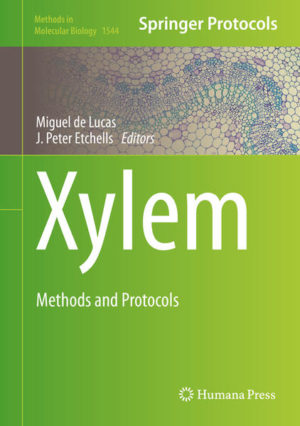 Honighäuschen (Bonn) - This volume provides detailed techniques used for the study and characterization of the plant vascular system, with a central focus on the xylem tissue. Chapters are organized in three main sections covering