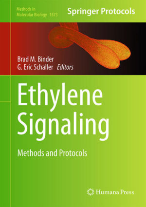 Honighäuschen (Bonn) - This volume provides a collection of protocols aimed toward the study of ethylene signaling in plants. Ethylene Signaling: Methods and Protocols is divided into three sections: ethylene biosynthesis, the signal transduction pathway, and the diverse ethylene responses of dicots and monocots. The chapters in section one discuss techniques for the measurement of activities related to the biosynthetic enzymes ACC synthase and ACC oxidase, the levels of ethylene synthesized by plants, and the treatment of plants with exogenous ethylene. Section two focuses on the analysis of the new membrane-associated proteins involved in the initial perception and transduction of the ethylene signal, such as ethylene receptors, CTR1, and EIN2. The third section covers assays applicable to dicots and monocots, including methods related to the roles of ethylene in germination, growth, abscission, abiotic stress, and defense. Section three also includes information on Arabidopsis mutants and the variety of chemical inhibitors that affect ethylene responses. Written in the highly successful Methods in Molecular Biology series format, chapters include introductions to their respective topics, lists of the necessary materials and reagents, step-by-step, readily reproducible laboratory protocols, and tips on troubleshooting and avoiding known pitfalls.Thorough and comprehensive, Ethylene Signaling: Methods and Protocols is a valuable resource for both experienced and beginner researchers with prior experience in the study of ethylene signaling and for those who are just entering this exciting research field.  