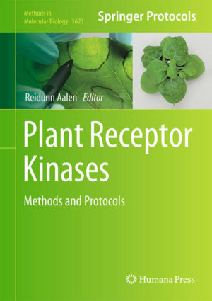 Honighäuschen (Bonn) - This is volume presents protocols relevant for plant receptor kinases(PRK) both in development and defence. Chapters guide readers through comprehensive experimental approach for molecular investigations of plant receptor kinases, from the simplest methods for expression and purification of receptor domains to the most advanced methods aiming at understanding the dynamics of receptor complex formation and specificity of signaling pathways. Written in the highly successful Methods in Molecular Biology series format, chapters include introductions to their respective topics, lists of the necessary materials and reagents, step-by-step, readily reproducible laboratory protocols, and tips on troubleshooting and avoiding known pitfalls. Authoritative and practical, Plant Receptor Kinases: Methods and Protocols aims to ensure successful results in the further study of this vital field.