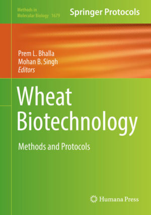 Honighäuschen (Bonn) - This detailed volume provides background on recent new technology developments highlighting the potential of the genomic era in wheat breeding with invaluable instruction on the methodology, which is complemented by overview chapters on the status of new technology application in major wheat production countries. The topics, addressed by internationally renowned scientists active in the field, cover methods underpinning the latest developments in the field of wheat biotechnology. Written for the highly successful Methods in Molecular Biology series, chapters include introductions to their respective topics, lists of the necessary materials and reagents, step-by-step, readily reproducible laboratory protocols, and tips on troubleshooting and avoiding known pitfalls.Authoritative and practical, Wheat Biotechnology: Methods and Protocols serves as a vital resource for scientists working to breed future high-yielding wheat varieties to sustain a growing population in an increasingly unpredictable world.