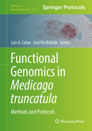 This volume discusses popular methods to achieve different types of mutagenesis and forward/reverse genetics in Medicago truncatula. Several studies on genetic control of developmental and metabolic processes in this model legume are also described. The chapters in this book cover topics such as Targeting Induced Local Lesions IN Genomes (TILLING), Fast Neutron Bombardment (FNB), Tnt1 insertional mutagenesis, Virus-Induced Gene Silencing (VIGS), stable inactivation of microRNAs in roots, gene editing by CRISPR-Cas9, etc. This book also contains reviews on the specific use of these techniques in functional studies on the genetic control of seed, leaf, root, nodule, floral and fruit development in M. truncatula. Written for the highly successful Methods in Molecular Biology series format, chapters contain the kind of detailed description and implementation advice needed to promote success in the lab. Cutting-edge and thorough, Functional Genomics in Medicago truncatula: Methods and Protocols is a valuable resource for anyone interested in learning more about this developing field.