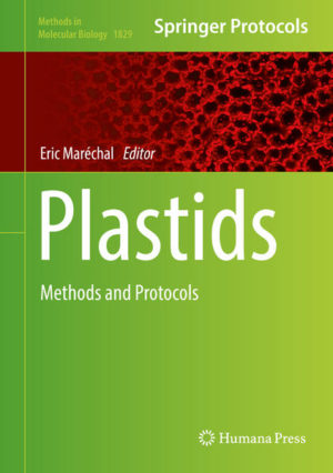 Honighäuschen (Bonn) - This volume explores plastid evolution, structure, and function in algae, plants and protists. The methods described in this book help scientists visualize, fractionate, purify, and study primary and secondary plastids in plant and algal materials. The chapters in this book also look at various techniques to analyze plastids through means of combining biology strategies from genetics, genomics, proteomics, and lipidomics. Written in the highly successful Methods in Molecular Biology series format, chapters include introductions to their respective topics, lists of the necessary materials and reagents, step-by-step, readily reproducible laboratory protocols, and tips on troubleshooting and avoiding known pitfalls. Cutting-edge and thorough, Plastids: Methods and Protocols is a valuable resource for students, engineers, and researchers who are interested in this evolving organelle and overall field.