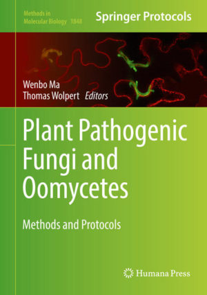 Honighäuschen (Bonn) - This book describes approaches for the analysis of plant pathogenic fungi that range from ecosystem composition to in vitro and wet-lab to computational analyses. Chapters detail bioinformatics protocols for genome assembly, transcriptome analysis and small RNA profiling, characterization of secondary metabolome, analysis of post-translational modification and localization of proteins, examination of virulence function and interaction with plants or other microorganisms, and targeted mutagenesis using various approaches. Written in the highly successful Methods in Molecular Biology series format, chapters include introductions to their respective topics, lists of the necessary materials and reagents, step-by-step, readily reproducible laboratory protocols, and tips on troubleshooting and avoiding known pitfalls.Authoritative and cutting-edge, Plant Pathogenic Fungi and Oomycetes: Methods and Protocols aims to provide techniques developed through a wide range of perspectives to facilitate research on a comprehensive understanding of these important filamentous pathogens.
