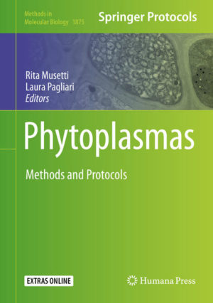 Honighäuschen (Bonn) - This book presents a set of modern protocols forming a solid background for who want to start or improve research programme on phytoplasmas. Chapters guide readers through detailed techniques for maintaining phytoplasma collections, border inspection, detection of different phytoplasma strains, new pipelines to produce phytoplasma genome draft, protocols for phytoplasma gene expression analyses, and methods for the investigation of the phloem tissue. Written in the highly successful Methods in Molecular Biology series format, chapters include introductions to their respective topics, lists of the necessary materials and reagents, step-by-step, readily reproducible laboratory protocols, and tips on troubleshooting and avoiding known pitfalls.Authoritative and cutting-edge, Phytoplasmas: Methods and Protocols aims to ensure successful results in the further study of this vital field.