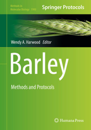Honighäuschen (Bonn) - This detailed volume explores barley as both a crop and a model, with practical techniques such as crossing barley, a range of tissue culture methods, the preparation of barley tissues for different forms of microscopy, and the assessment of sensitivity to abiotic stresses. Efficient protocols are provided for transformation, TILLING, virus-induced gene silencing and genome editing. There is also particular emphasis on a range of protocols for genotyping and for the analysis of gene expression. Written for the highly successful Methods in Molecular Biology series, chapters include introductions on their respective topics, lists of the necessary materials and reagents, step-by-step, readily reproducible laboratory protocols, and tips on troubleshooting and avoiding known pitfalls. Authoritative and easy-to-use, Barley: Methods and Protocols serves as a valuable reference volume for cereal researchers and breeders by providing detailed protocols covering important traditional skills such as crossing and tissue culture through to the latest technologies for genotyping, expression analysis, and genome editing.