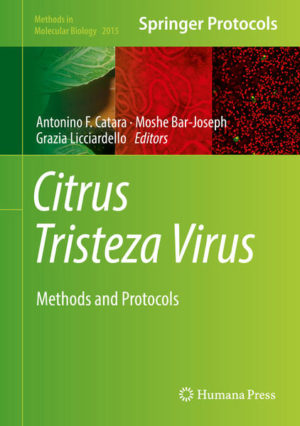 Honighäuschen (Bonn) - This book provides methods and clear protocols for the various technologies available to detect, characterize, and study Citrus tristeza virus (CTV), a member of the genus Closterovirus, family Closteroviridae. Thanks to the highly sensitive and specific diagnostic procedures developed, knowledge of the molecular characteristics, expression strategies, genetic variability, and epidemiology of the virus has improved significantly, as this volume reflects. Written for the highly successful Methods in Molecular Biology series, chapters include introductions to their respective topics, lists of the necessary materials and reagents, step-by-step, readily reproducible laboratory protocols, and tips on troubleshooting and avoiding known pitfalls. Authoritative and practical, Citrus Tristeza Virus: Methods and Protocols serves as an ideal guide for plant pathologists, plant virologists, molecular biologists, and graduate students interested in performing qualitative and quantitative tests as well as recently-developed diagnostic methods in order to find solutions to improve the management of this disease.