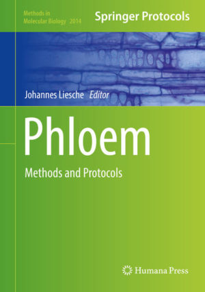 Honighäuschen (Bonn) - This detailed book presents methods that enable the determination of parameters relevant to phloem research in the most efficient ways, putting plant scientists with access to adequate instrumentation in the position to answer any phloem-related question. The collection explores techniques that have been used for decades, such as tracing phloem transport with carbon isotopes, as well as recent developments, such as esculin-based assays of phloem transport and super-resolution microscopy of phloem proteins. As such, the book presents the state-of-the-art in phloem research and, at the same time, a starting point for the development of new methods that will fill the remaining gaps in the phloem researchers toolbox in the future. Written for the highly successful Methods in Molecular Biology series, chapters include introductions to their respective topics, lists of the necessary materials and reagents, step-by-step, readily reproducible protocols, and tips on troubleshooting and avoiding known pitfalls. Authoritative and comprehensive, Phloem: Methods and Protocols is an ideal guide for all researchers exploring this challenging area of plant biology.