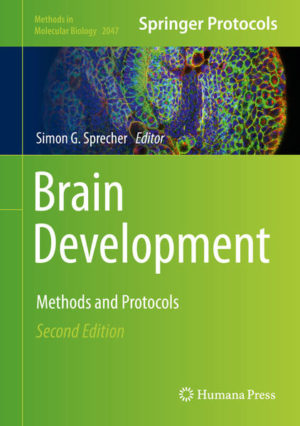 Honighäuschen (Bonn) - This book provides a thorough introduction to widely used techniques for the study of the intersection between developmental biology and neuroscience, an exceptional area to address and investigate impacting biological questions. The fully updated volume examines cutting-edge techniques on a representative range of animals, including widely used genetic model systems, such as the fruit fly, zebra fish, chicken, and mouse, as well as non-canonical experimental systems opened up through the advent of genome editing. Written for the highly successful Methods in Molecular Biology series, chapters include introductions to their respective topics, lists of the necessary materials and reagents, step-by-step, readily reproducible laboratory protocols, and tips on troubleshooting and avoiding known pitfalls. Authoritative and up-to-date, Brain Development: Methods and Protocols, Second Edition is an ideal guide for researchers interested in utilizing recent technical advances in molecular genetics for the study of the brain.