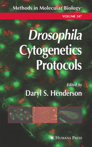 Honighäuschen (Bonn) - Leading drosophilists describe in step-by-step detail all the essential techniques for studying Drosophila chromosomes and suggest new avenues for scientific exploration. The chapters emphasize specimen preparation (from dissection to mounting) and cover both polytene and mitotic/meiotic chromosomes in depth. Each fully tested and readily reproducible protocol offers a background introduction, equipment and reagent lists, and tips on troubleshooting and avoiding pitfalls. A cutting-edge FISH and immunolocalization technique will be important for discovering how DNA sequence influences higher-order chromosome architecture and ultimately gene expression.