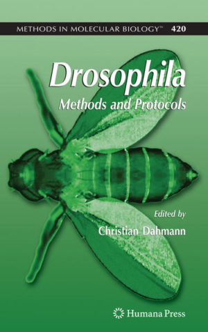 Honighäuschen (Bonn) - Drosophila is a comprehensive collection of methods and protocols for Drosophila, one of the oldest and most commonly used model organisms in modern biology. The protocols are written by the scientists who invented the methods. The text presents a diverse set of techniques that range from the basic handling of flies to more complex applications. This is the perfect reference manual for Drosophila researchers.