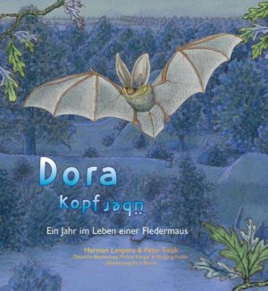 Honighäuschen (Bonn) - "Dora kopfüber" ist eine wahre Geschichte über Fledermäuse, besser gesagt, sie könnte wirklich so passiert sein. Dieses Buch nimmt dich mit auf eine Reise durch das Leben der kleinen Langohrfledermaus Dora. Begleite sie ein Jahr lang, erlebe ihre Geburt und wie sie lernt, zu fliegen und Insekten zu fangen. Mit vielen wissenswerten Informationen. Denn neben der spannenden Geschichte von Dora findest du regelmäßig Informationsseiten, bei denen du durch anschauliche Aufträge zum selbst Ausprobieren noch mehr über Fledermäuse erfährst. Wusstest du zum Beispiel, dass die Langohrfledermaus ihre Ohren über ein kleines Ventil aufblasen kann? Und dass sie ihre Nahrung durch Echoortung fängt? Nein? Dann macht dich "Dora kopfüber" zu einem echten Fledermausexperten!