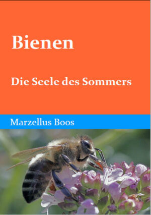 Bienen - Die Seele des Sommers | Honighäuschen