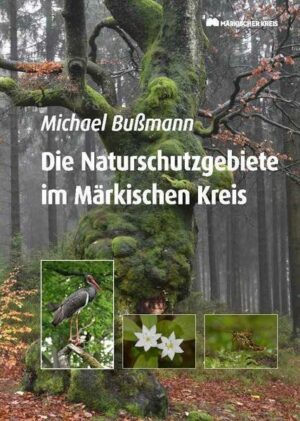 Zwischen Ruhrniederung, Ebbegebirge und Listertal liegen derzeit 126 Naturschutzgebiete. Hier treffen Tier- und Pflanzenarten des Tief-und Berglandes zusammen, Eiszeitrelikte in Flora und Fauna finden ihre Rückzugsräume und viele Arten kommen im Märkischen Kreis an ihren natürlichen Arealgrenzen vor. Das Buch unternimmt einen Streifzug durch die Naturschutzgebiete im Märkischen Kreis, um die Schönheit der Natur, die Vielfalt der Gebiete und der heimischen Tier- und Pflanzenwelt vorzustellen.