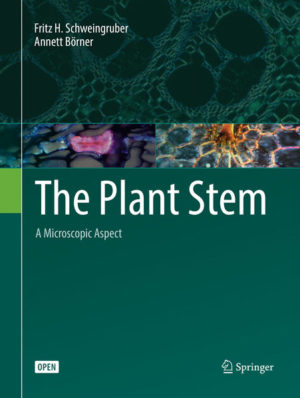 Honighäuschen (Bonn) - This unique and attractive open access textbook combines the beauty of macroscopic pictures of plant stems with the corresponding colorfully stained images of anatomical micro-structures. In contrast to most botanical textbooks, it presents all the stem characteristics as photographs and shows the microscopic reality. The amount of text is reduced to a minimum, and the scientific information is highlighted with short legends and labeled photographs, allowing readers to focus on the pictures to easily understand how the anatomical structures relate to genetic, ecological, decomposition and technical influences. It includes a chapter devoted to simple anatomical preparation techniques, and further chapters showing the cell content, cell walls, meristematic tissues and stem structures of all major taxonomic units and morphological growth forms in various ecological and climatic regions from subarctic to equatorial latitudes, as well as structures of fossil, subfossil and technically altered wood. This textbook appeals to students and researchers in the fields of plant anatomy, taxonomy, ecology, dendrochronology, history, plant pathology, and evolutionary biology as well as to technologists.