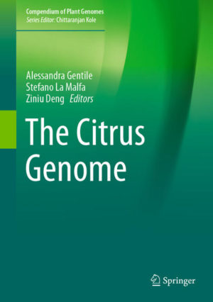 Honighäuschen (Bonn) - This book reviews how the release of the citrus genome facilitates the investigation of ancestral species, the study of their complex biological features, and the genetic basis of agronomic traits of paramount importance for their sustainable cultivation. The first chapters discuss citrus origin and distribution, and the economic importance and varietal composition of the cultivated species, providing an overview of citrus and related genera genetic resources. The book then describes the role of traditional breeding techniques (for scion and rootstocks) as well as the potential of genomic breeding and innovative protocols for biotechnological approaches. The second part provides essential information on the genus Citrus, the attributes of pure citrus species, genetic admixtures, hybrids and citrus relatives, and on the horticultural classification of cultivated species, varieties and rootstocks. The third part then focuses on the different molecular mechanisms, covering various aspects of citrus biology, including the role of beneficial compounds of citrus fruits. In addition, it examines the molecular responses of citrus to abiotic stresses and to field and post-harvest diseases. Providing insights gained in recent years, it is a valuable guide for those who are interested in gene discovery, comparative genomics, molecular breeding and new breeding techniques. It is particularly useful for scientists, breeders and students at universities and public sector institutes involved in research for the citrus industry.
