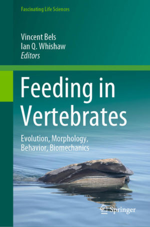 Honighäuschen (Bonn) - This book provides students and researchers with reviews of biological questions related to the evolution of feeding by vertebrates in aquatic and terrestrial environments. Based on recent technical developments and novel conceptual approaches, the book covers functional questions on trophic behavior in nearly all vertebrate groups including jawless fishes. The book describes mechanisms and theories for understanding the relationships between feeding structure and feeding behavior. Finally, the book demonstrates the importance of adopting an integrative approach to the trophic system in order to understand evolutionary mechanisms across the biodiversity of vertebrates.