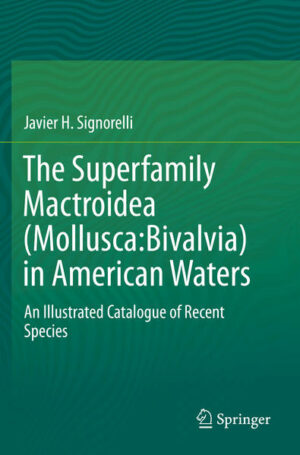 Honighäuschen (Bonn) - This book identifies all valid species belonging to the superfamily Mactroidea living in American waters, distributed across fourteen biogeographical provinces. It also provides an updated classification of the widely occurring Mactroidea superfamily, which comprises eight subfamilies grouped into four families: Mactridae (Lamarck, 1809)