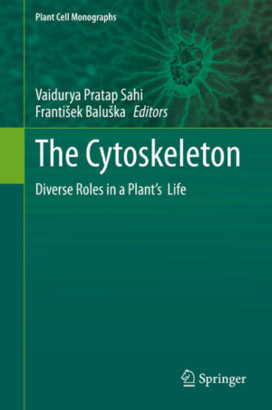 Honighäuschen (Bonn) - This book focuses on the plant cytoskeleton and its various cross-talks with other cellular components leading to its role in plant growth and development. It not only allows the geometric and signaling dimensions of cells, but is also very important in physiological processes. The book discusses the recent studies showing the role of actin and microtubule cytoskeleton interactions in cell-wall assembly and dynamics. The authors examine the role of both microtubules in the mechanics of plant cells, and actin filaments in the motility ofchloroplasts. Based on recent advances in the study of the acto-myosin complex using high-resolution microscopy, they propose a new model for intracellular transport in plants. Exploring an almost-forgotten field of bioelectricity in the context of the cytoskeleton, the book highlights connections between the dynamic actin filaments and the bioelectricity of membranes and demonstrates that the plant cytoskeleton is involved in the distribution of plant hormones. Lastly, it addresses the role of endomembrane -cytoskeleton interactions to show the importance of the cytoskeleton in organelle morphogenesis and cellular functions. Studies in various plant models have shown how the actin filament and microtubules control and coordinate plant cell growth and development. This book summarizes the mechanisms underlying these functions.