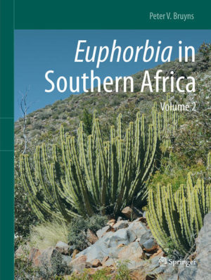 Honighäuschen (Bonn) - This book presents a new account of Euphorbia in southern Africa. Euphorbia is the second largest genus of plants in the world. Southern Africa enjoys a high diversity in Euphorbia and 170 species occur here naturally. Of these 170 species, 128 or 74% are endemic. Where most species of Euphorbia in the northern hemisphere are herbs or shrubs, most of those in southern African are succulent. These succulents range from small, almost geophytic forms where the tuber is larger than the above-ground parts to huge trees 6 to 15 m or more in height. Many of them are spiny. There are also small numbers of herbaceous species in southern Africa and many of these are also dealt with here. The last account of the succulent species for southern Africa was published in 1941 and much new data has accumulated since then. Our understanding of the relationships of the species in Euphorbia has also been greatly enhanced by recent analyses of DNA-data, which led to new and unexpected results. From this new information an entirely new classification was developed, in which Euphorbiawas divided into four subgenera. This provides the taxonomic framework for the presentation of our species here. Around ten new species have been described and these are presented in detail for the first time. This monograph is made up of two volumes. Volume 1 contains an extensive introductory chapter with an overview of the genus in the region, emphasizing many of its important and distinctive features. This is followed by Chapter 2, which deals with subgenus Athymalus. Of the four subgenera, this one is by far the most diverse in southern Africa, with 80 species. Volume 2 contains Chapters 3 (subg. Chamaesyce, 34 species), 4 (subg. Esula, 11 species) and 5 (subg. Euphorbia, 45 species), as well as an additional Chapter 6 covering the remarkable diversity of subg. Euphorbia in Moçambique. Each of Chapters 2 to 5 includes a key to all the species, followed by an account of each of them. This account includes synonymy, a description, data on distribution and habitat, line-drawings of floral features and other diagnostic details, notes on how the species is distinguished from its closest relatives and a brief history of its discovery. Several colour photographs are included for each species, illustrating its habitat, vegetative habit and flowering features, demonstrating key points distinguishing it from others and often showing its variability. Euphorbia is an important component of the vegetation in many of the drier parts of southern Africa. This book is based on a thorough evaluation of the vast herbarium record for southern African members of Euphorbia, on the extensive field-work conducted in the region and the wide taxonomic experience of the author. It is believed that both the professional botanist and the layman will find much that is new and informative in this monograph.