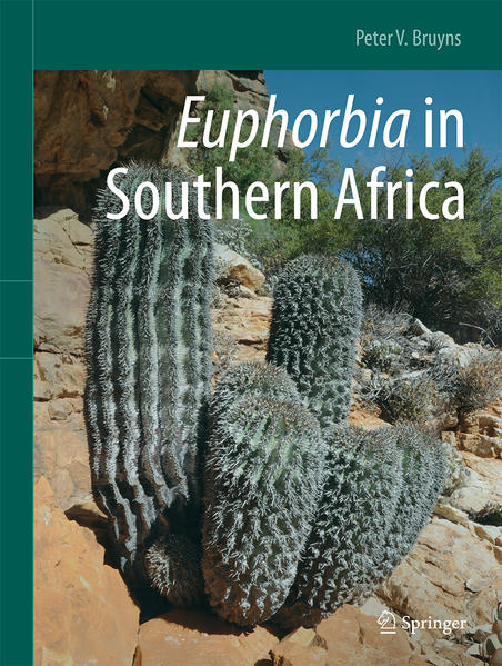 Honighäuschen (Bonn) - This volume set presents a new account of Euphorbia in southern Africa. Euphorbia is the second largest genus of plants in the world. Southern Africa enjoys a high diversity in Euphorbia and 170 species occur here naturally. Of these 170 species, 128 or 74% are endemic. Where most species of Euphorbia in the northern hemisphere are herbs or shrubs, most of those in southern African are succulent. These succulents range from small, almost geophytic forms where the tuber is larger than the above-ground parts to huge trees 6 to 15 m or more in height. Many of them are spiny. There are also small numbers of herbaceous species in southern Africa and many of these are also dealt with here. The last account of the succulent species for southern Africa was published in 1941 and much new data has accumulated since then. Our understanding of the relationships of the species in Euphorbia has also been greatly enhanced by recent analyses of DNA-data, which led to new and unexpected results. From this new information an entirely new classification was developed, in which Euphorbia was divided into four subgenera. This provides the taxonomic framework for the presentation of our species here. Around ten new species have been described and these are presented in detail for the first time. This monograph is made up of two volumes. Volume 1 contains an extensive introductory chapter with an overview of the genus in the region, emphasizing many of its important and distinctive features. This is followed by Chapter 2, which deals with subgenus Athymalus. Of the four subgenera, this one is by far the most diverse in southern Africa, with 80 species. Volume 2 contains Chapters 3 (subg. Chamaesyce, 34 species), 4 (subg. Esula, 11 species) and 5 (subg. Euphorbia, 45 species), as well as an additional Chapter 6 covering the remarkable diversity of subg. Euphorbia in Moçambique. Each of Chapters 2 to 5 includes a key to all the species, followed by an account of each of them. This account includes synonymy, a description, data on distribution and habitat, line-drawings of floral features and other diagnostic details, notes on how the species is distinguished from its closest relatives and a brief history of its discovery. Several colour photographs are included for each species, illustrating its habitat, vegetative habit and flowering features, demonstrating key points distinguishing it from others and often showing its variability. Euphorbia is an important component of the vegetation in many of the drier parts of southern Africa. This book is based on a thorough evaluation of the vast herbarium record for southern African members of Euphorbia, on the extensive field-work conducted in the region and the wide taxonomic experience of the author. It is believed that both the professional botanist and the layman will find much that is new and informative in this monograph.