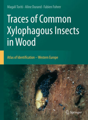 Honighäuschen (Bonn) - This atlas presents a concrete tool to identify xylophagous activity by the remains they left in wooded areas in Western Europe. Xylophagous insects are among the largest predators of woody tissues. They leave discriminating traces, different for each species according to their bioecology, and so it is necessary to know how to recognize and characterize them. The book is a practical tool to help identify and interpret them through a standardized presentation of the most ubiquitous families and a key to their determination. It presents descriptions of the galleries and of morphometry of the faecal pellets based on macroscopic features for xylophagous identification, and includes information about the origin and distribution of the xylophagous biological cycles, bioclimatic conditions and bioecology, and the type of woods that are attacked. The book will be a useful guide for forest managers, heritage conservationists, environmental engineers, bioarchaeologists, entomologists, loggers, and wood anatomists. 