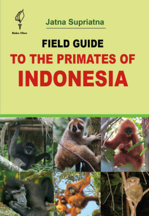 Honighäuschen (Bonn) - This primate field guide can be used to refer to information on each species, or it can be used to find which species exist on each island, as shown at the back of the book. A list of primates in Indonesia is provided with local, English, and scientific names. Once the name is identified the user can go to the description of the genus and species. Also given is the conservation status of each species except for the most recently described, whose status is not yet known. The information on each species' natural history, behavior, ecology, and where to see it in parks and/or forested areas outside parks is included. Field Guide to the Primates of Indonesia primate drawings are by Stephen Nash and photographs were donated by many of the author's friends from Indonesia and abroad.