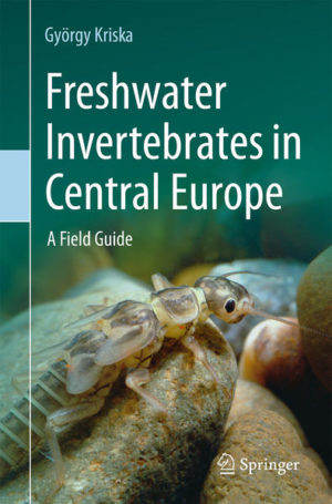 Honighäuschen (Bonn) - This up-to-date guidebook on freshwater invertebrates of the central European region is a richly illustrated work, providing an excellent source of systematic information on freshwater macroinvertebrates. Numerous colour photos and additional vector graphic figures allow readers to identify specific species at a higher taxonomic level (family). The book is supplemented by video sequences. Freshwater Invertebrates in Central Europe  A Field Guide is a must-have for all those interested in the freshwater animals of central Europe such as animal scientists and ecologists, as well as students attending classes on freshwater invertebrate.