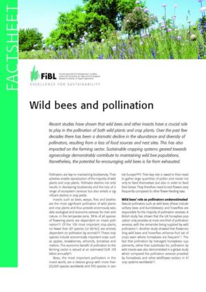Honighäuschen (Bonn) - The fact sheet summarizes the current state of academic knowledge on the importance of wild bees in the pollination of wild and cultivated plants. It mentions the known causes for the decline of wild bees, describes the effects of organic farming and lists necessary measures for promotion and protection of the pollinators.