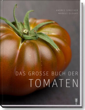 Der aktuelle Tomatenboom zeigt: Alle lieben die Tomate, und zwar in Garten und Blumentopf genauso wie auf dem Teller. Der Leser wird in die faszinierend vielgestaltige Welt der roten, gelben, weissen, grünen, violetten, orangen oder schwarzen Nachtschattengewächse entführt. Die ausführlichen Porträts erleichtern die Wahl für den eigenen Anbau bis zur erfolgreichen Ernte. Zu kulinarisch Köstlichem aus frischen, getrockneten und passierten Tomaten inspirieren die kreativen Rezepte von Lucas Rosenblatt.