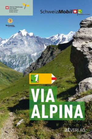 Die nationale Route 1 Via Alpina ist Teil des gleichnamigen Fernwanderwegnetzes. Fünf Fernwanderwege durchqueren von Triest bis Monaco acht Alpenstaaten. Auf dem Gebiet der Schweiz führt die nationale Route 1 Via Alpina von Vaduz über zahlreiche Alpenpässe bis zum Trüttlisbergpass