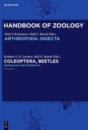Honighäuschen (Bonn) - This book is the third volume in the Handbook of Zoology series which treats the systematics and biology of Coleoptera. With approximately 350,000 described species, Coleoptera are by far the most species-rich order of insects and the largest group of animals of comparable geological age. This third Coleoptera volume completes the Morphology and Systematics volumes with 43 chapters and covers one of the largest radiations of beetles, the mainly plant-feeding Phytophaga, with information on world distribution, biology, morphology of all life stages (including anatomy), phylogeny and comments on taxonomy.