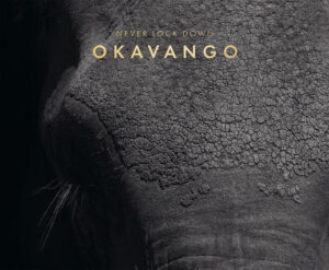 Als Menschen leben wir mit Natur und Tieren in Symbiose. Nirgendwo wird dies so bewusst wie in Afrika. Ungeplante 75 Tage und Nächte inmitten der faszinierenden und artenreichen Wildnis des Okavango-Deltas in Botsuana bescherten Bettina Rumpf Erfahrungen und Erlebnisse