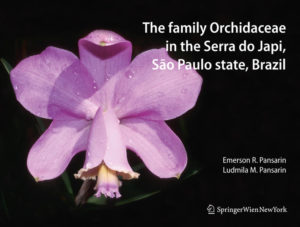 Honighäuschen (Bonn) - This study presents a floristic survey of orchid species occurring in the Serra do Japi in São Paulo, southeastern Brazil. The region studied is strategically placed in the transitional zone between interior semi-deciduous mesophytic forests and the Atlantic forest, presenting species from both formations and is characterized by semi-deciduous mesophytic forests, altitudinal forests and rocky outcrops. In the Serra do Japi the orchid family is represented by 125 species distributed among 61 genera. The most representative genus is Epidendrum, followed by Oncidium and Habenaria. Most of the species occur as epiphytes, while 40 species are terrestrial, 31 species are rupicolous, two are hemi-epiphytes and only one is myco-heterotrophic. Although the orchid diversity is high, the region has been affected by anthropogenic disturbances, making the preservation and integrated study of the diversity present in the Serra do Japi an urgent necessity, with social, economic and preservationist aspects.