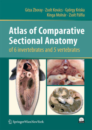 Honighäuschen (Bonn) - This atlas contains 189 coloured images taken from transversal, horizontal and sagittal sections of eleven organisms widely used in university teaching. Six invertebrate and five vertebrate species  from the nematode worm (Ascaris suum) to mammals (Rattus norvegicus)  are shown in detailed images. Studying the macrosections with unaided eyes, with a simple magnifier or binocular microscope might be of great help to accomplish traditional anatomical studies and to establish a certain spatial experience/space perception. This volume will be of great interest for biology students, researchers and teachers of comparative anatomy. It might act as supporting material of practical courses. Furthermore, medical practitioners, agricultural specialists and researchers having an interest in comparative anatomy might also benefit from it.