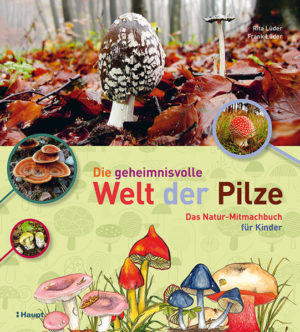 Honighäuschen (Bonn) - Pilze sammeln ist Familiensache: Dieses Mitmachbuch weckt die Faszination für Pilze. Ein Buch voller Aktivitäten für unternehmungslustige Kinder ab 7 Jahren: beobachten, rätseln, basteln ... Kreativspaß mit Pilzen: mit Tintlingen malen, mit Schwefelköpfen färben usw. Welche Pilze wachsen wo? Warum können sie auch im Dunkeln wachsen? Warum sind gewisse Pilze giftig? Wie kommt das Schweinsohr zu seinem Namen? Warum ist der Pilz keine Pflanze? Was ist ein Bauchpilz? Wie alt werden Pilze? Was ist ein Hexenring? Diese und viele andere Fragen aus dem Reich der Pilze beantwortet das neue Natur-Mitmachbuch auf spielerische Art. Es bietet Platz für Notizen und Fotos, enthält Tabellen zum Ankreuzen und Ausfüllen, gibt Tipps und Anleitungen zum Ausprobieren, Basteln, Messen und vielem mehr: Mit Tintlingen wird gemalt, mit Schwefelköpfen gefärbt, mit Zunderschwamm werden Funken aufgefangen.