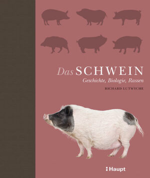 Das Schwein: Glücksferkel, Supernase und Fleischlieferant. Geschichte, Biologie und Verhalten eines höchst faszinierenden und komplexen Geschöpfs. Ein reich bebildertes Lesevergnügen mit Porträts von 30 Schweinerassen. Das Schwein ist ein faszinierendes, komplexes Geschöpf und eines der wichtigsten Tiere für uns Menschen. Schweine sind nicht nur hervorragende Fleischlieferanten, sondern spielen auch eine wichtige Rolle in der Medizin. Dieses reich bebilderte Buch schildert nicht nur die Hintergründe der Evolution und Domestikation des Schweins, sondern vermittelt viel Wissenswertes zu Biologie und Verhalten. So können Schweine oft ganz ähnliche Aufgaben wie Hunde übernehmen: Sei es, dass sie Schafe hüten, Trüffel suchen, auf der Jagd vorstehen und apportieren, Haus und Hof bewachen oder als Zugtier, als Drogenfahnder und natürlich als anhängliches Haustier des Menschen dienen. Abgerundet wird das Werk mit Porträts von 30 Schweinerassen aus aller Welt.