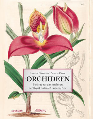 Honighäuschen (Bonn) - Buch und 40 Drucke in einer Schmuckbox: eine bibliophile Reise durch die Welt der Orchideen 40 Orchideenarten  von extravagant und bunt bis unauffällig und subtil Schätze aus den Archiven der Royal Botanic Gardens, Kew Außergewöhnlich schön und unglaublich abwechslungsreich  die Orchidee fasziniert seit der Antike und gilt vielen als Königin der Blumen. Die Sammlung in den Royal Botanic Gardens, Kew, ist die älteste noch existierende Orchideen-Sammlung der Welt. Für diese einzigartige Publikation wurden 40 Orchideenarten der ganzen Welt ausgewählt  von extravagant und bunt bis unauffällig und subtil, von vertraut bis fremdartig , um ihre spannenden Geschichten zu erzählen. Diese werden ergänzt durch klassische Texte und Briefe aus den Kew-Archiven sowie botanische Illustrationen der großen Orchideenkünstlerinnen und -künstler wie John Day, Walter Hood Fitch, Sarah Drake oder Marianne North. Die Schmuckbox enthält neben dem Buch 40 separate Drucke, die herausgenommen und gerahmt werden können.