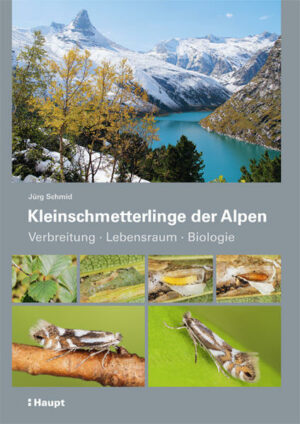 350 alpine Arten im Porträt  das Grundlagenwerk über eine bisher nur wenig erforschte Artengruppe. Der Autor präsentiert 350 alpine Arten mit Informationen zum Lebensraum und zu ihrer Biologie. Fotos von Futterpflanzen für die Raupen, Eiern, Raupen, Puppen und den Faltern zeigen, welch erstaunliche Farben- und Formenvielfalt diese bisher von der Forschung vernachlässigte Artengruppe aufweist. Mit den neuen Erkenntnissen ist für viele Kleinschmetterlinge auch erstmals die Grundlage erarbeitet worden, gefährdete Arten wirksam schützen zu können.