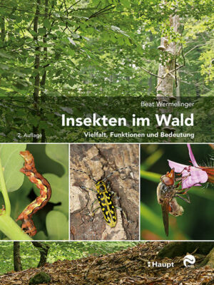 Honighäuschen (Bonn) - Nützlinge und Schädlinge im Wald: das hochgelobte entomologische Nachschlagewerk in 2., aktualisierter Auflage. Waldinsekten sind ökologisch und ökonomisch von vielfältiger Bedeutung. Das Buch stellt die verschiedenen Aspekte der Insekten im Lebensraum Wald in Text und Bild dar. Der Autor schöpft dabei aus 25 Jahren beruflicher Beschäftigung mit Waldinsekten und aus einem Archiv von 14 000 Insektenfotos. Damit richtet er sich gleichermaßen an Fachpersonen und interessierte Naturliebhaberinnen und -liebhaber. Durch die reiche Bebilderung mit 580 faszinierenden, teils großformatigen Farbfotos von rund 300 Insekten- und Spinnenarten ist es auch ein attraktiver Bildband. Ausgezeichnet mit dem «Prix Moulines 2019» der Schweizerischen Entomologischen Gesellschaft